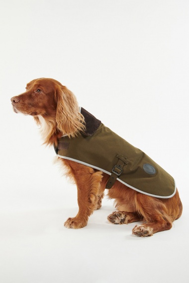 Abrigo Waterproof Dog