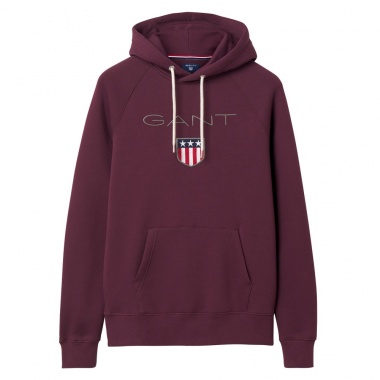 Sudadera capucha lisa