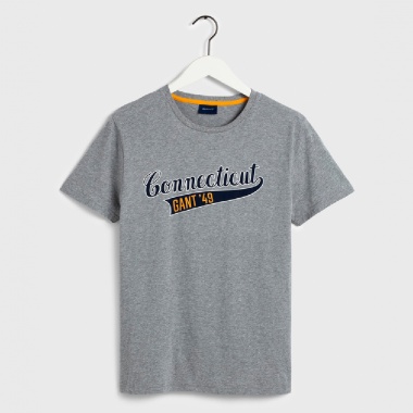 Camisa Connecticut gris