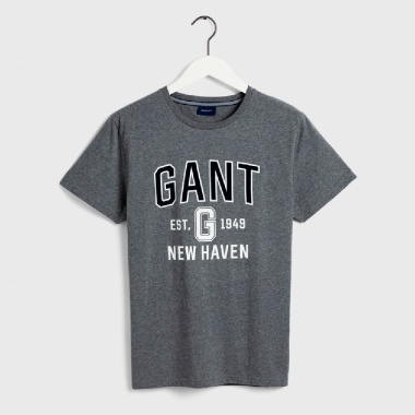 Camiseta deportiva New Heaven gris