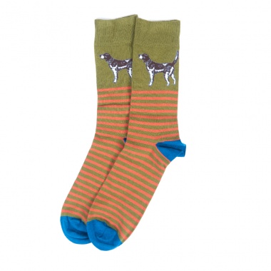 Calcetines Dog Stripes Verde