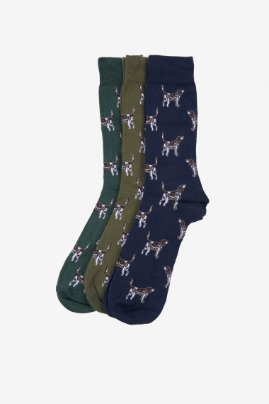 Set calcetines Pointer Dog