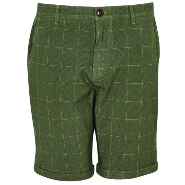 Bermudas Overdyed Check