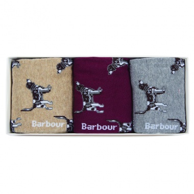 Pack Calcetines Pointer Dog