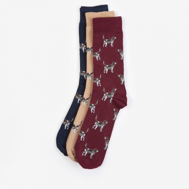 Pack Calcetines Pointer Dog