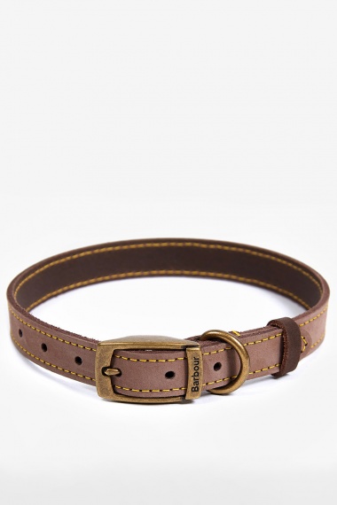 Collar perro piel