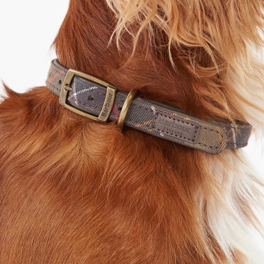 Collar perro Tartán clásico