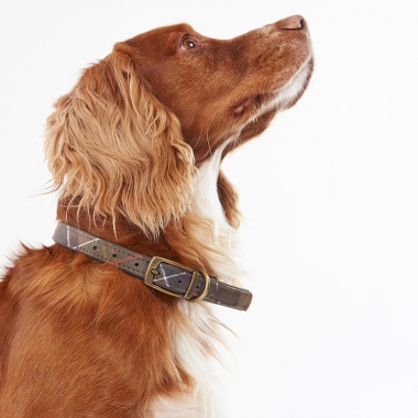 Collar perro Tartán clásico