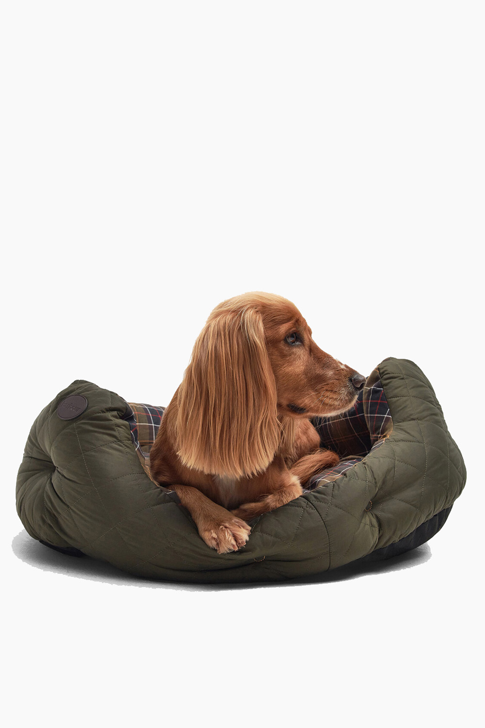 Cama cheap perro barbour
