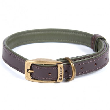Collar para Perro Padded Marrón