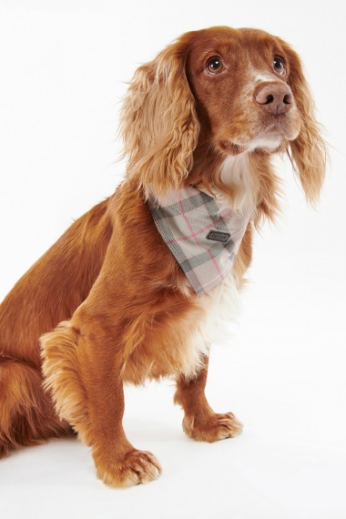 Bandana Perro Tartán