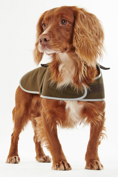 Abrigo Waterproof Dog