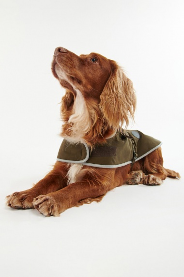 Abrigo Waterproof Dog