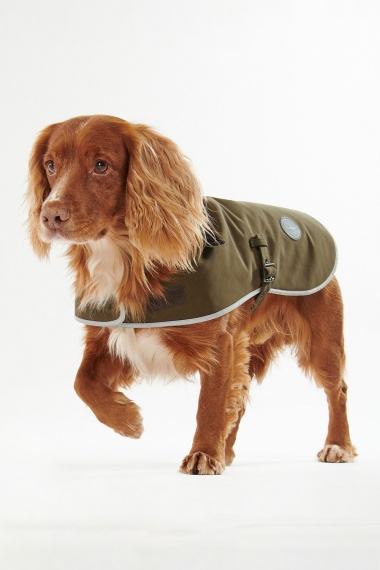 Abrigo Waterproof Dog