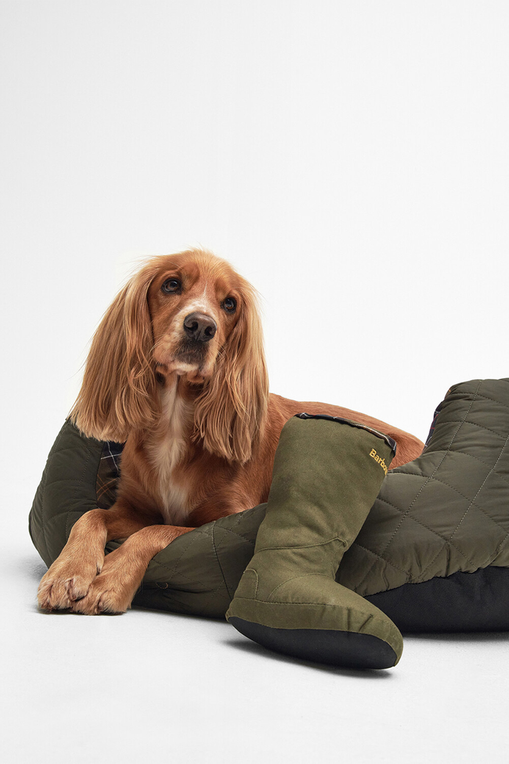 Cama Perro Luxury 24 Barbour, ILikeToBuy