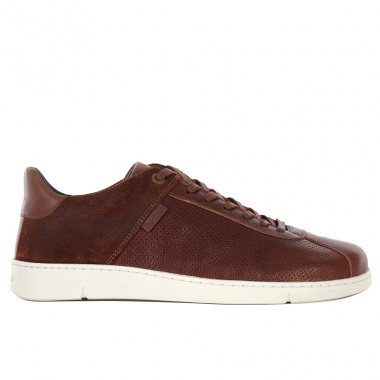 Sneaker Bushtail