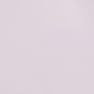 Botines Wilton Logo Wellingtons