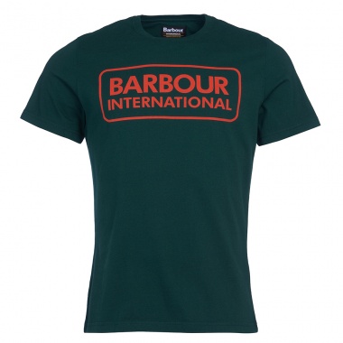 Camiseta Essential Large Logo verde