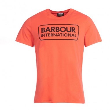 Camiseta Essential Large Logo