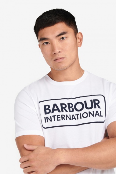 Camiseta Essential Large Logo