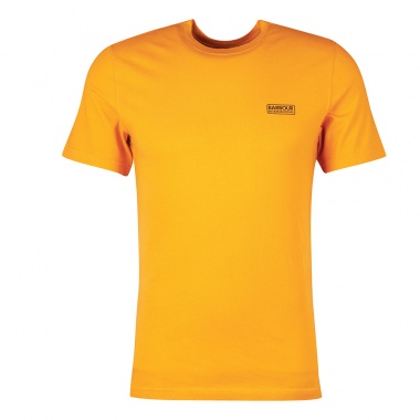 Camiseta Small Logo