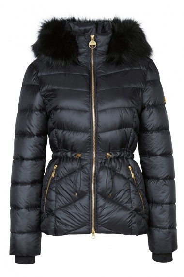 Chaqueta Island