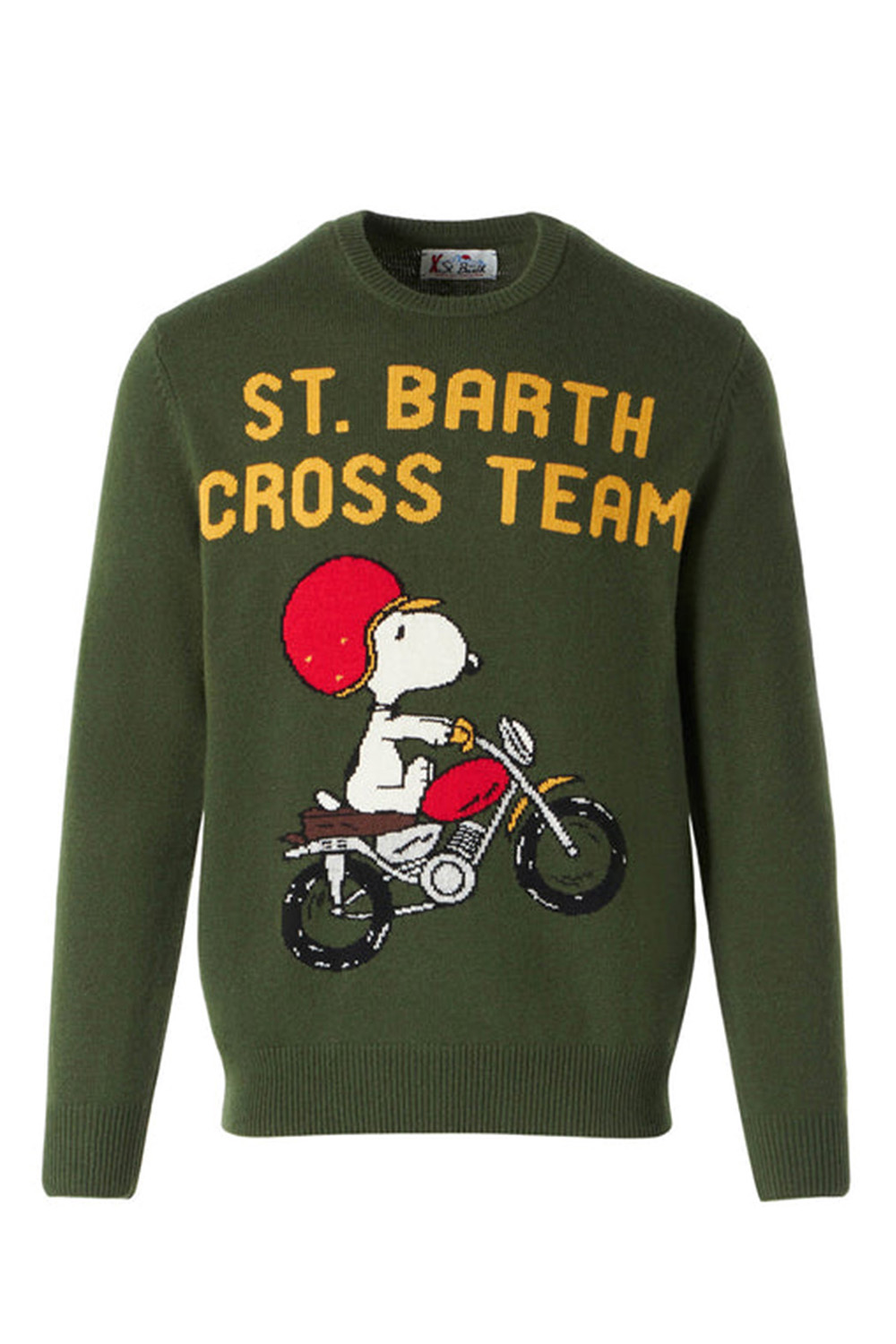 snoopy cycling jersey