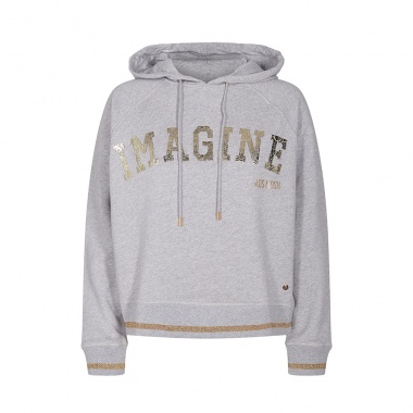 Sudadera Kash Hoodie gris