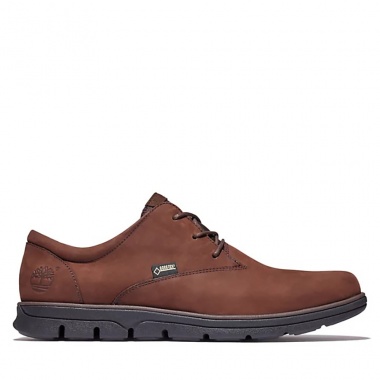Zapatillas Gore-tex Bradstreet 0