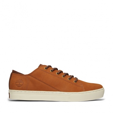 Zapatillas Adventure 2.0 Saddle