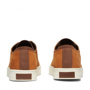 Zapatillas Adventure 2.0 Saddle