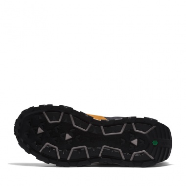Zapatilla Winsor Trail Outdoor Wheat