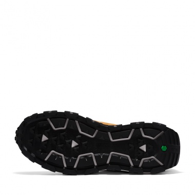 Bota Winsor Trail Outdoor Wheat