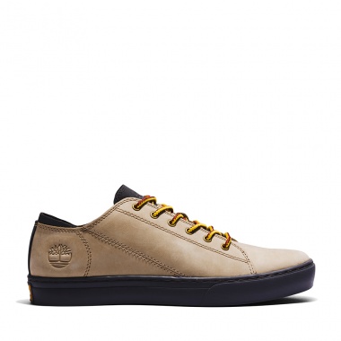 Zapatillas Adventure 2.0 Lemon Pepper