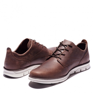 Zapato Oxford Bradstreet Soil