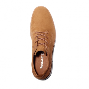 Zapato Oxford Bradstreet Saddle