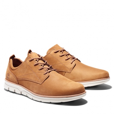 Zapato Oxford Bradstreet Saddle