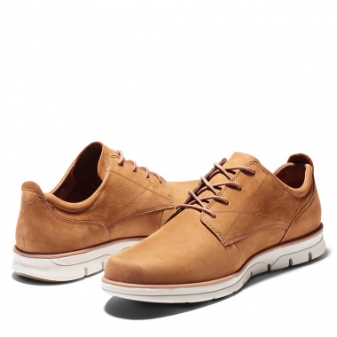 Zapato Oxford Bradstreet Saddle
