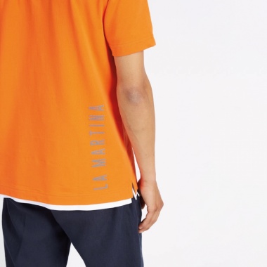 Polo Vasant