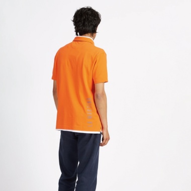 Polo Vasant